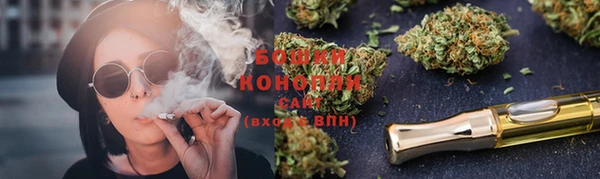 крисы Горняк