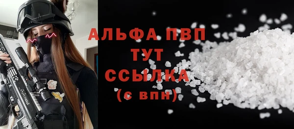 крисы Горняк