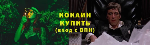крисы Горняк