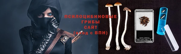 ECSTASY Горнозаводск