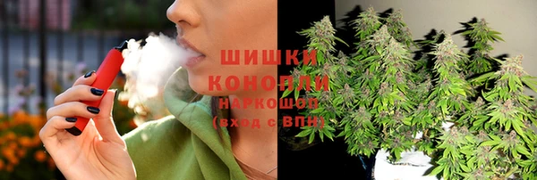 крисы Горняк