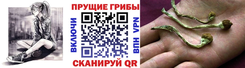 Галлюциногенные грибы мицелий  Дюртюли 